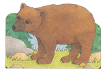 Primary Cutout Illustration Bear